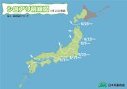 日本気象協会とアサンテ、「シロアリ前線」を共同開発