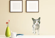 猫好き必見！世界の可愛い猫がお家にやってくる！？『ねこウォールステッカー』6月12日発売