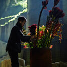 藤原ヒロシ氏と学生グループが監修する、花をモチーフにした展覧会を開催　FRAGMENT×AMKK×S.U.C.C「Flower Huddle」展