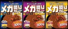 大食いのお客様の声を元に商品化　ボリュームたっぷりメガ盛りカレーシリーズからチーズ・ガーリック・ジンジャーの3種類が新発売！