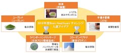 脳の健康を促進する為の革新的なアイデアを5件採択！「2016年度Brain Healthcareチャレンジ」入選アイデア発表