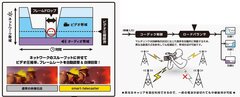 自社独自技術RASCOWの特長とマルチリンク