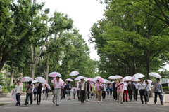 昨年の東京傘開きの様子