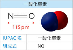 一酸化窒素