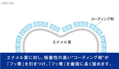 図1：高密着フッ素