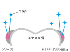 図3：TPP図