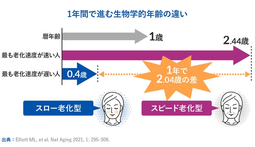 世界最先端の老化研究からわかった、腸内細菌の大事な役割
新コラム『PoA(老化スピード)は変えられる!?』を
8月7日にwebサイトで公開