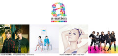 a-nation stadium fes.