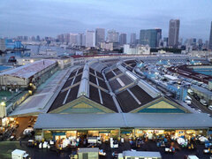 『Tsukiji Wonderland(仮題)』(1)