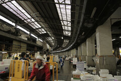 『Tsukiji Wonderland(仮題)』(4)