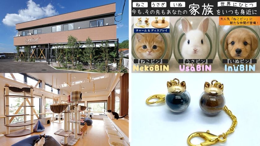 「ねこビン」が大分県の保護猫カフェと連携
毛を“想い出”として詰めて贈る、新しい里親支援のかたち