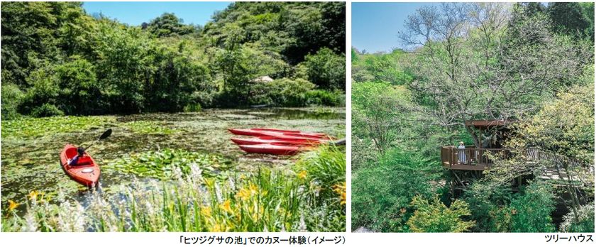 ROKKO森の音ミュージアム
神戸市街地より-5度の避暑地体験
「ROKKO山涼みフェス2026」開催
2026年7月18日(土)~20日(月・祝)