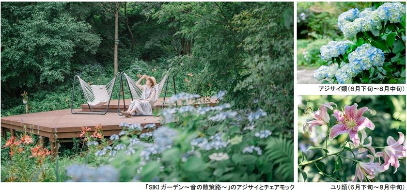ROKKO森の音ミュージアム
SIKIガーデンSummer Season“Symphony”
夏の花々とアート、音楽が調和したフェアを開催
2026年6月26日(金)~8月21日(金)