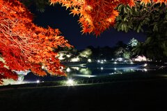 紅葉鮮やかな岡山後楽園