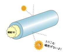 ご注文いただいた衣類のなかからアウターを選別し、“自動”で花粉対策！　新プラン『花粉ガード加工コース』の受け付けを開始　～2016年の花粉対策トレンドは、花粉を自宅に“持ち込まない”～