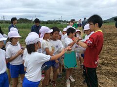 石垣島の小学校で理科実験授業　学生団体が島の未来を担う子どもたちに環境教育　～赤土流出がサンゴ礁に与える影響を学ぶ～