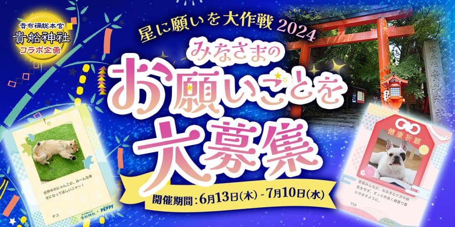 【貴船神社×PEPPY】ペットの願いを星に！ペピイ七夕イベント第１０回開催