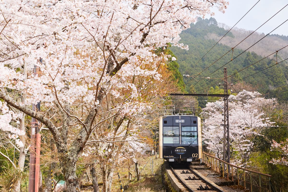 叡山ケーブル・ロープウェイ ３月２０日（水・祝）運転スタート