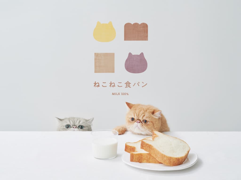 4月15日(水)より、ねこの形の高級食パン専門店「ねこねこ食パン」がオンライン販売を開始！