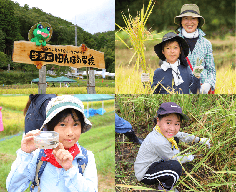 ～自然の恵みと命のつながりを学ぶ～　宝酒造「田んぼの学校」2025 参加者募集を開始