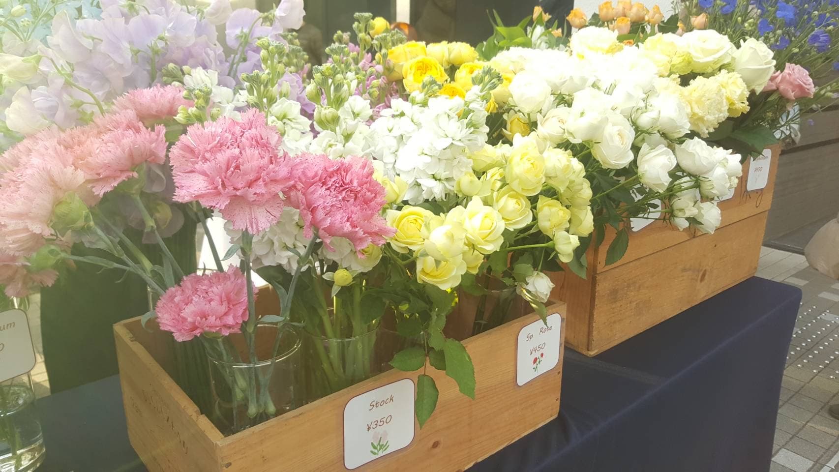 バレンタインデー限定！地産地消！全て愛知県産の花を専属フローリストがセレクト販売！ 「第2回STRINGS 花マルシェ～Flower Valentine～」開催