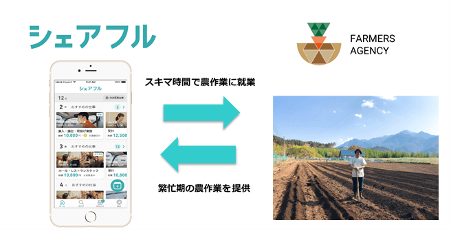 農家の繁忙期の労働力不足をスキマ時間で解決　シェアフルが山梨県内でワークシェアリング事業開始