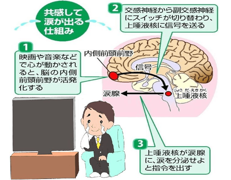 【神奈川県厚木市】知的・精神障害者向け「涙活」研修、3月10日に地域活動支援センターで開催