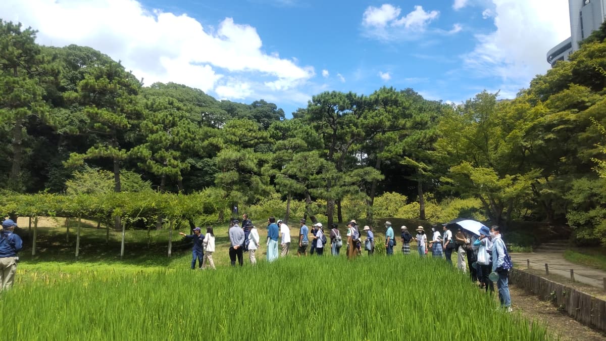 【小石川後楽園】庭さんぽ〜環境DNAからひも解く小石川後楽園の生き物たち〜｜9月21日(土)開催