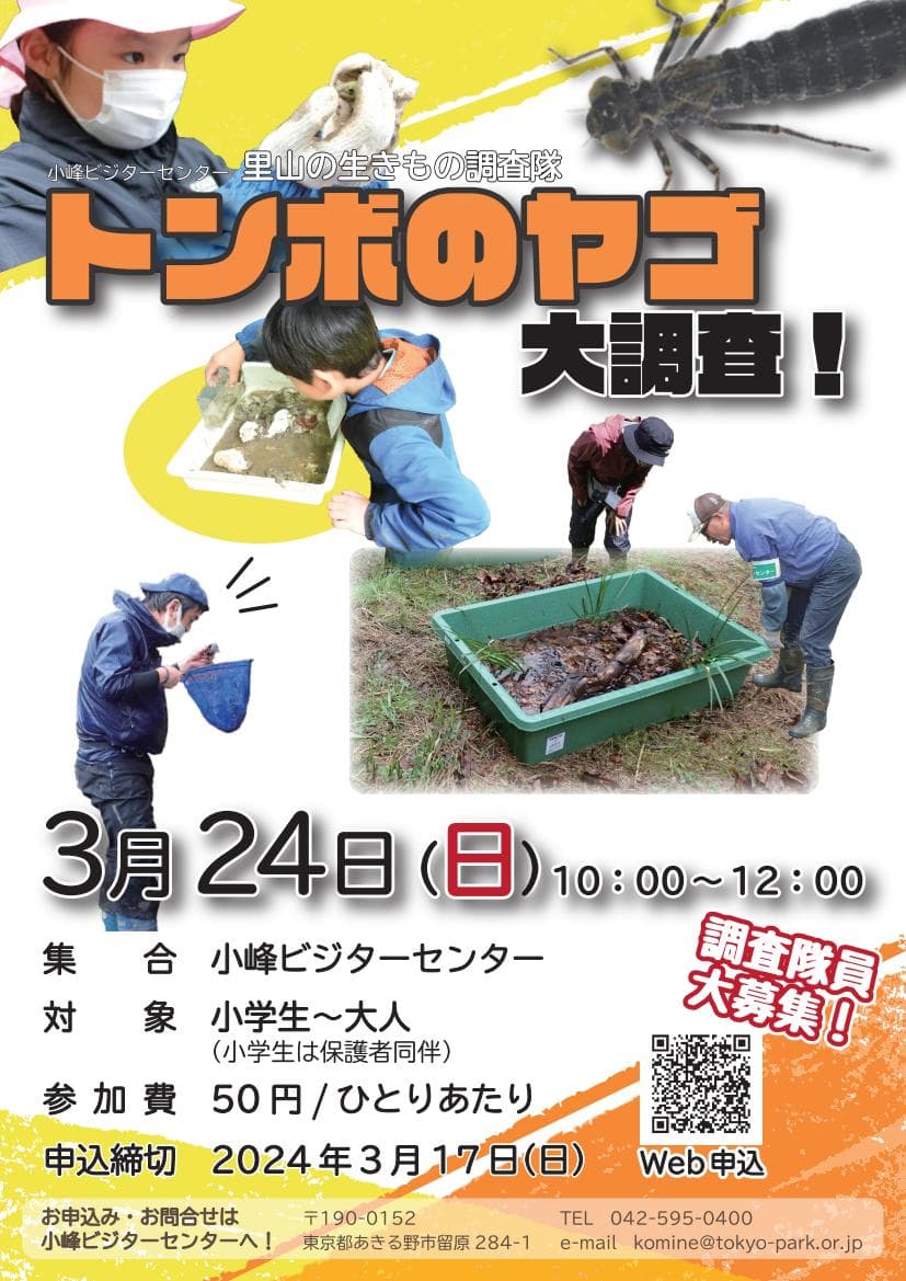 【参加者募集！】3月24日（日）小峰公園でトンボの幼虫（ヤゴ）を観察してみよう！