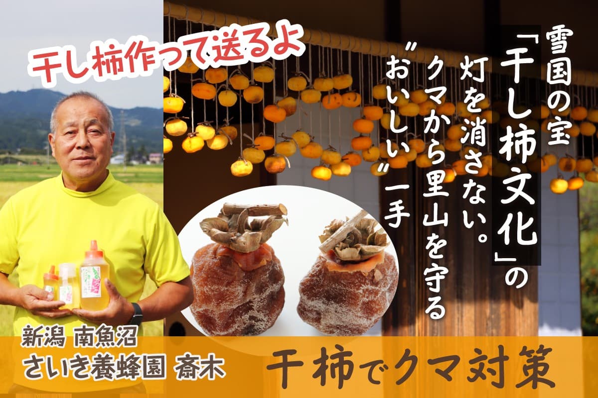 【南魚沼発・クマ被害緊急対策】警戒警報下の里山を救う:放置柿を「雪国の宝」干し柿へ再生する挑戦【クラウドファンディング】