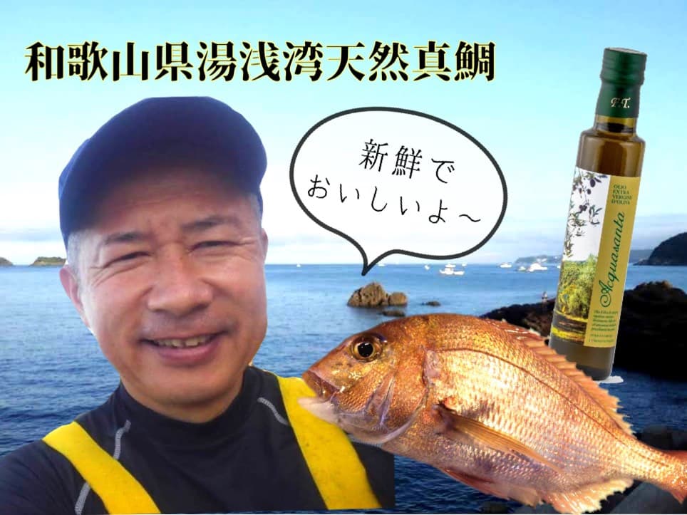 超新鮮!一本釣り天然真鯛のお刺身を和歌山湯浅湾よりご家庭に直送!