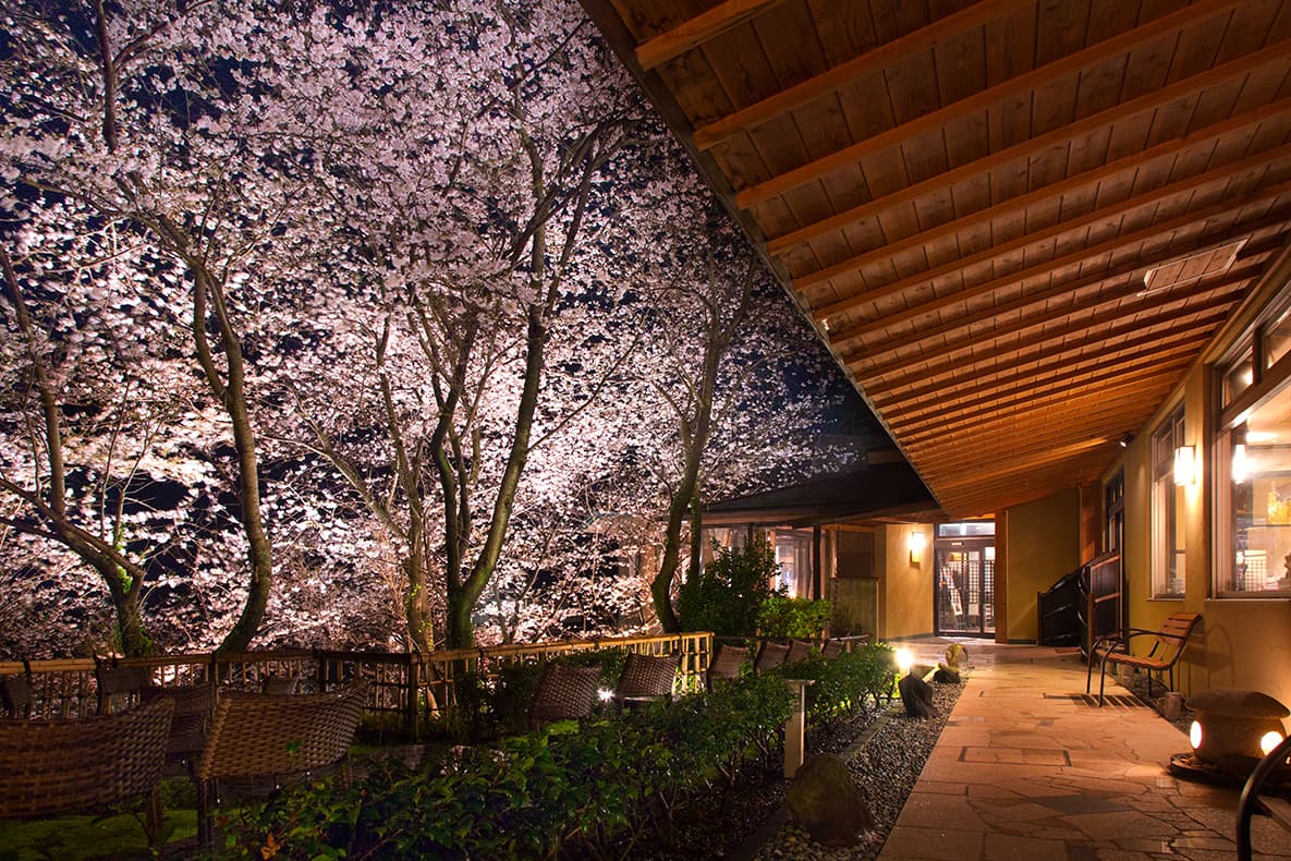 【東伊豆 北川温泉・吉祥CAREN】令和の初春は、お祝いの宿から「第30回 河津桜まつり」に出かけよう♪