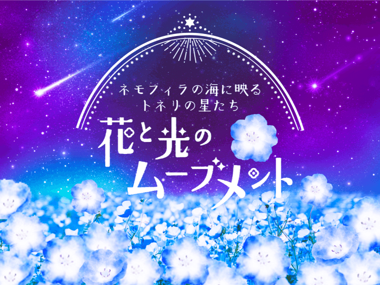 「花と光のムーブメント」舎人公園 ネモフィラの海に映るトネリの星たち 2025年4月11日(金)～29日(火・祝)開催