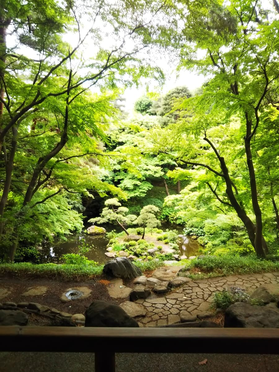 殿ヶ谷戸庭園の茶室で和花をいける特別なひと時。5/18(土)「武蔵野の初夏をいける」を開催します。