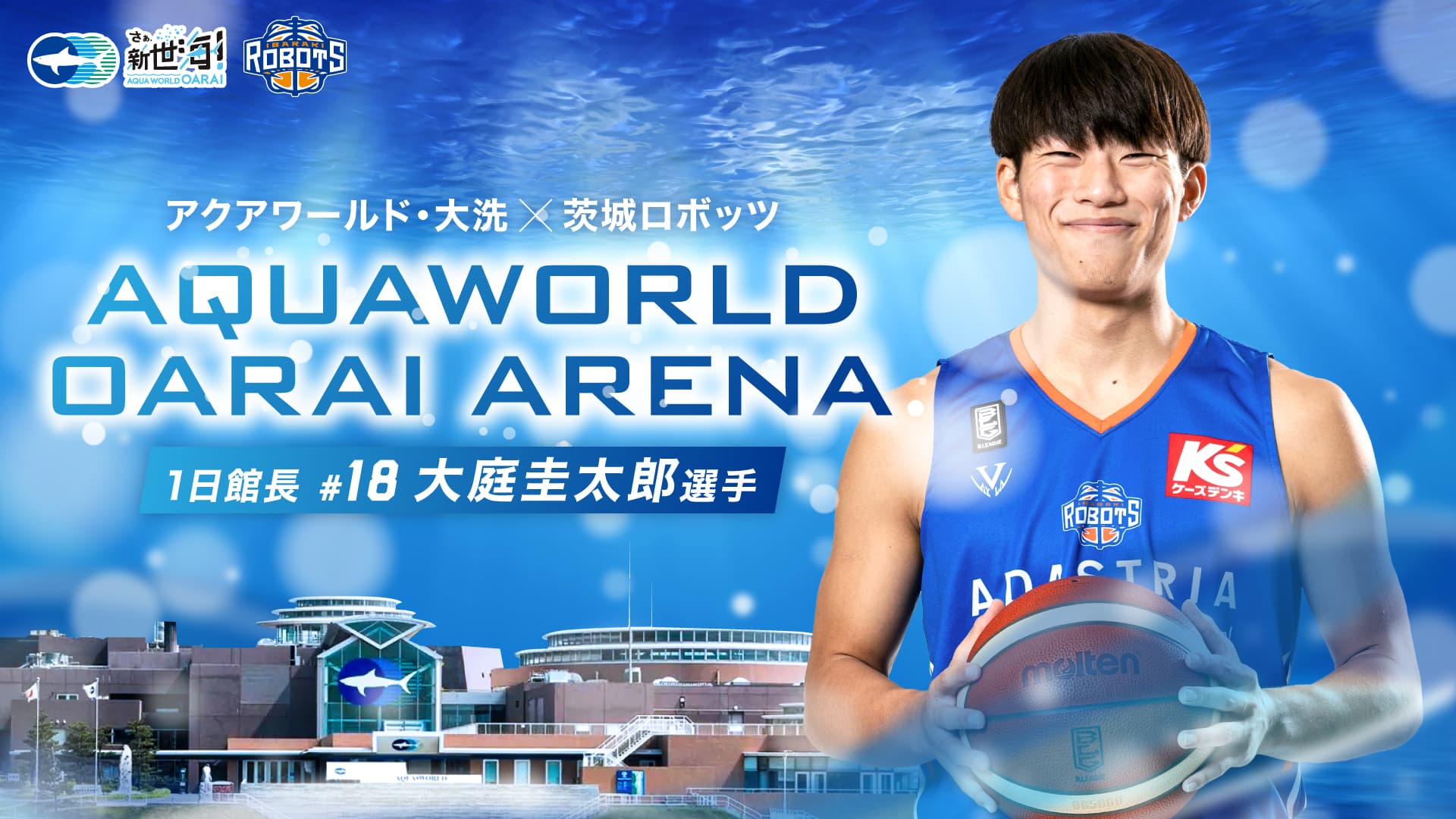 茨城ロボッツとのコラボレーションイベント アクアワールド・大洗×茨城ロボッツ 『AQUAWORLD OARAI ARENA』 期間：２０２４年２月１０日（土）～３月２４日（日）