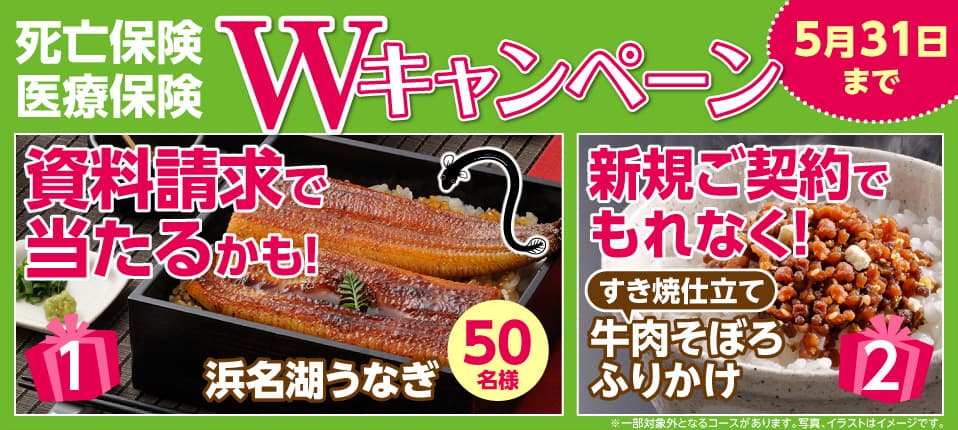 死亡保険・医療保険の資料請求で「浜名湖うなぎ」が抽選で当たる！