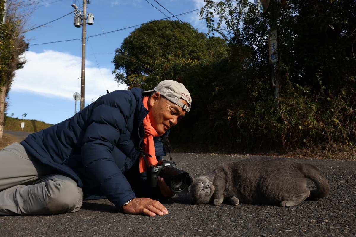 ＢＳ松竹東急＜BS260ch・全国無料放送＞ 2月22日　❝猫の日❞記念！「特集・めくるめくネコの世界」