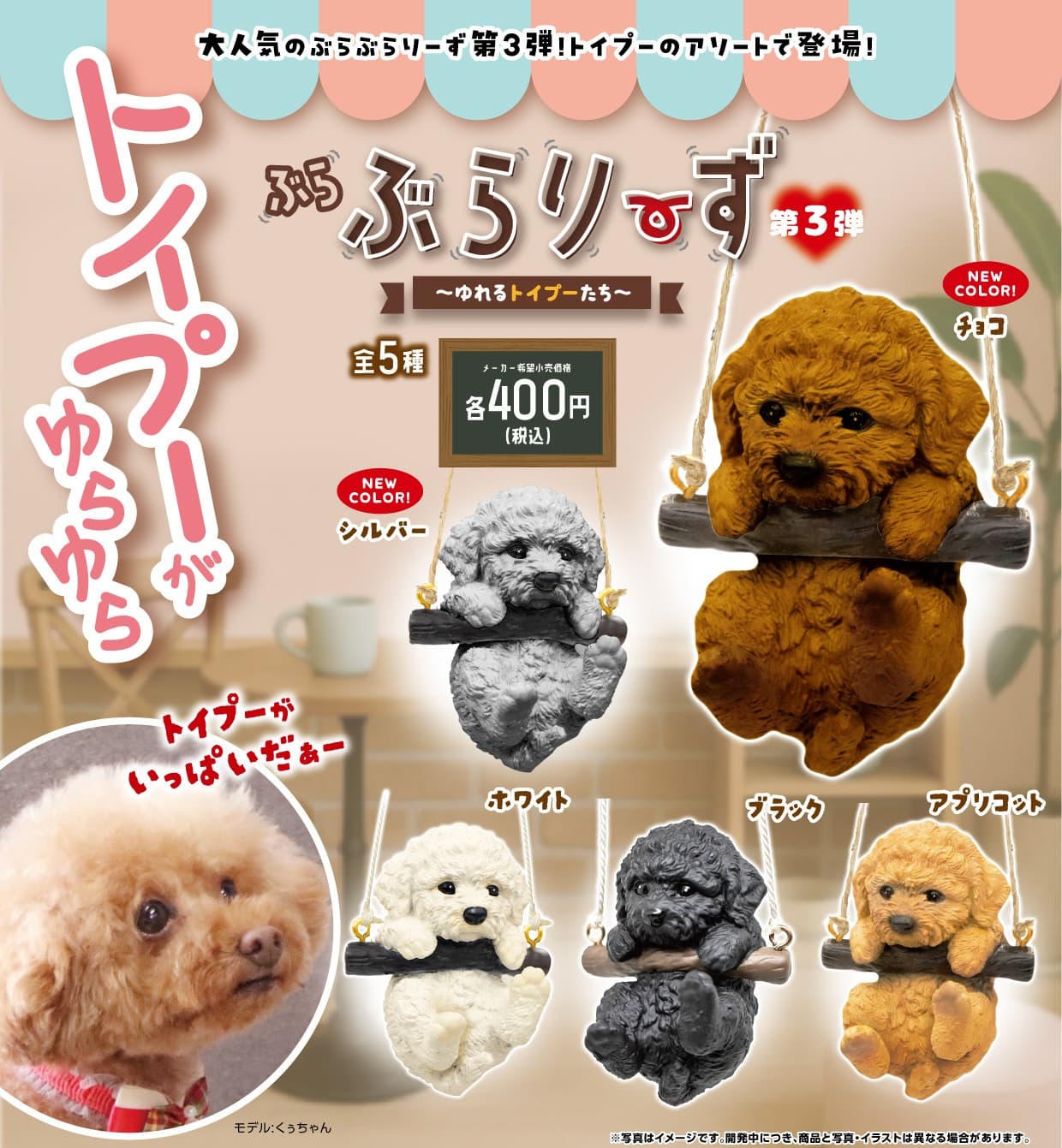 TikTok再生22万回突破! カプセルトイ「ぶらぶらりーず」第3弾決定。トイプー推しの夢叶う