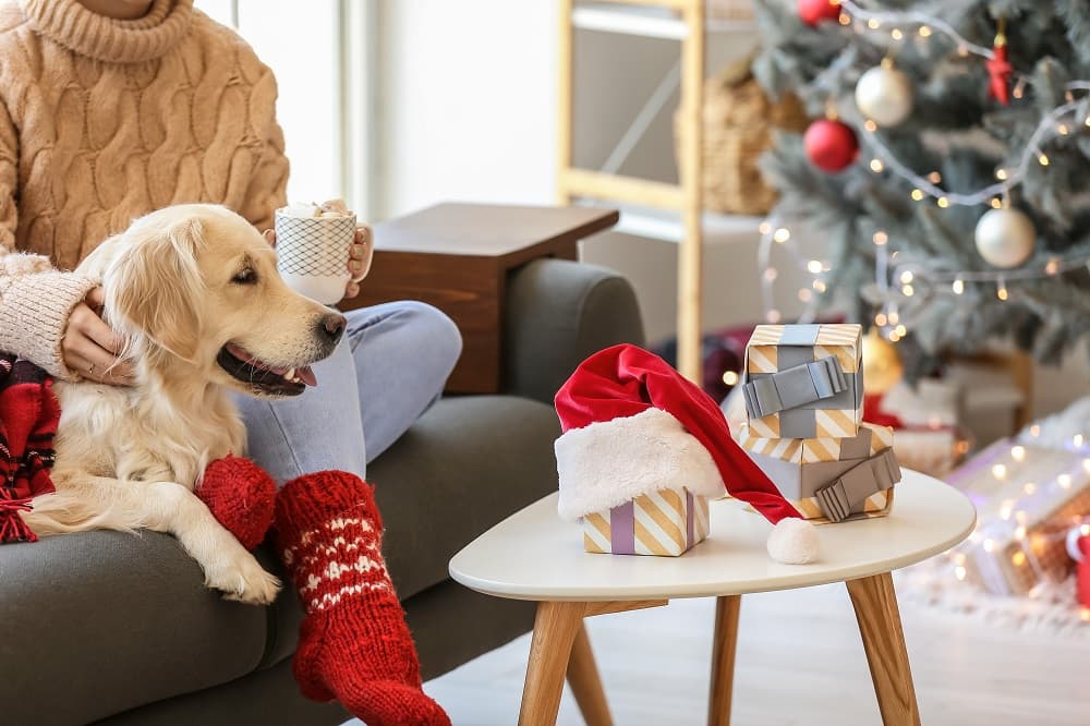 今年は“自宅で過ごす”クリスマス　4人に１人は「自分用にクリスマスプレゼント購入予定」