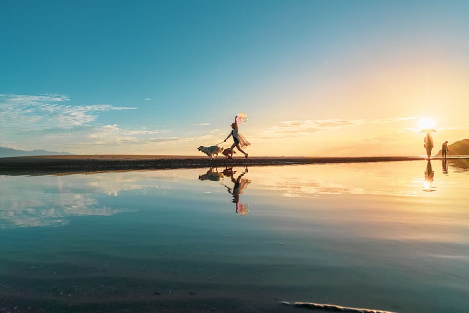 SBIいきいき少短×東京カメラ部 共同開催 Instagramフォトコンテストの入賞作品を決定