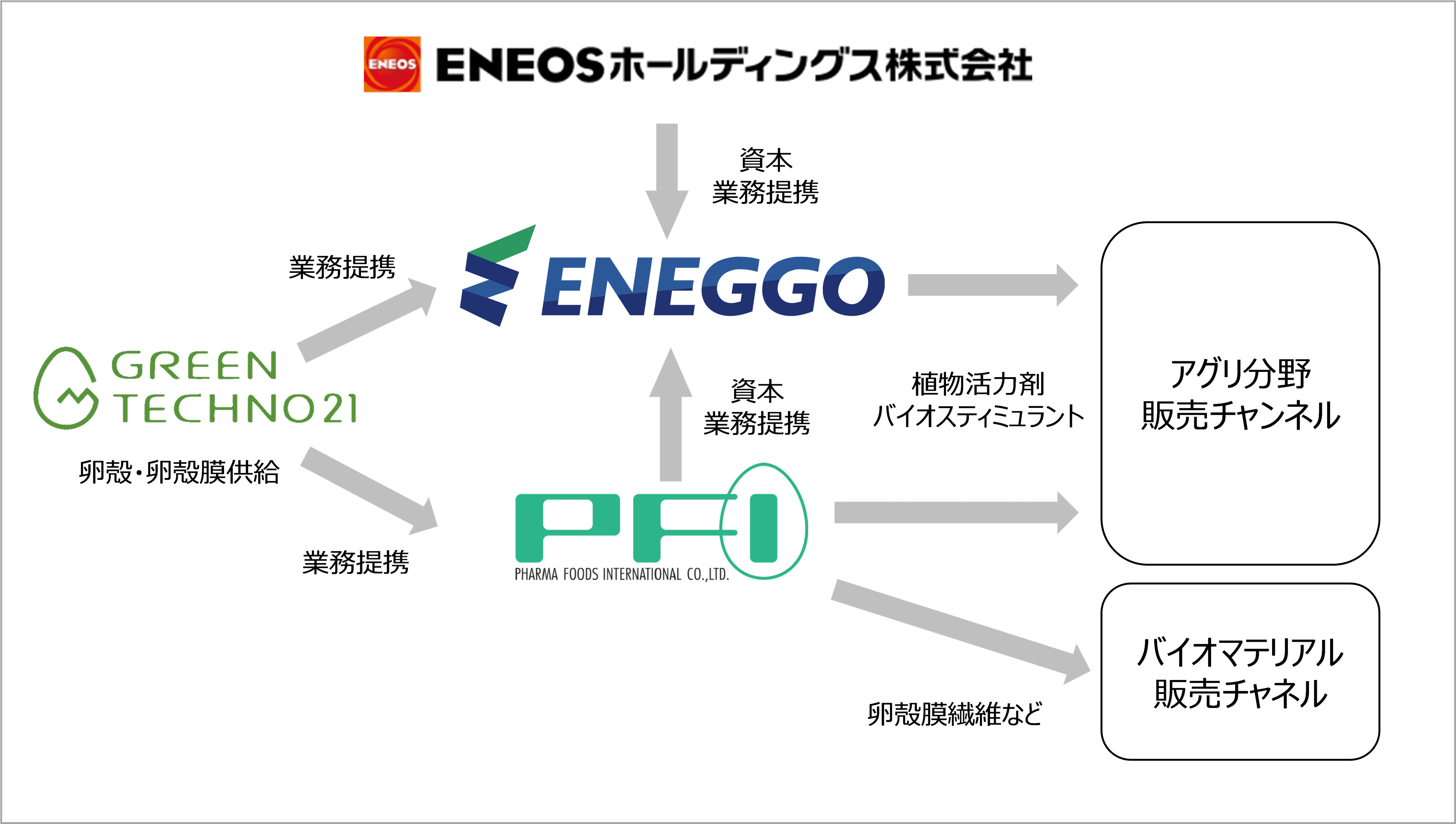 タマゴの薄膜(卵殻膜)で新市場創出　ＥＮＥＯＳホールディングスと共同出資でCO2削減と循環型社会の実現を目指す