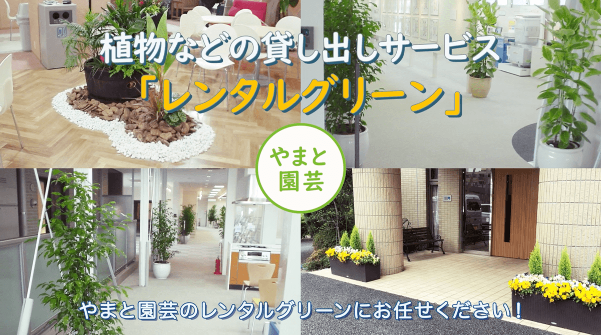 「動画PRサービス」のプレスリリース、株式会社フリーダムに「ツタ-ワールド（TSUTA-WORLDによるプロモーション動画）」を納入