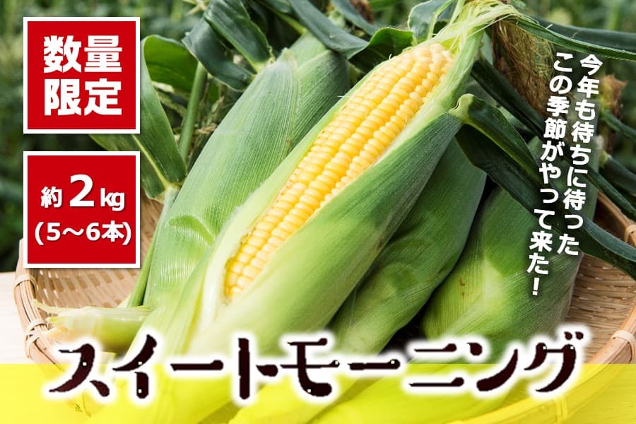 甘さがぎゅぎゅっと！　兵庫県産「スイートモーニング」の予約販売開始！