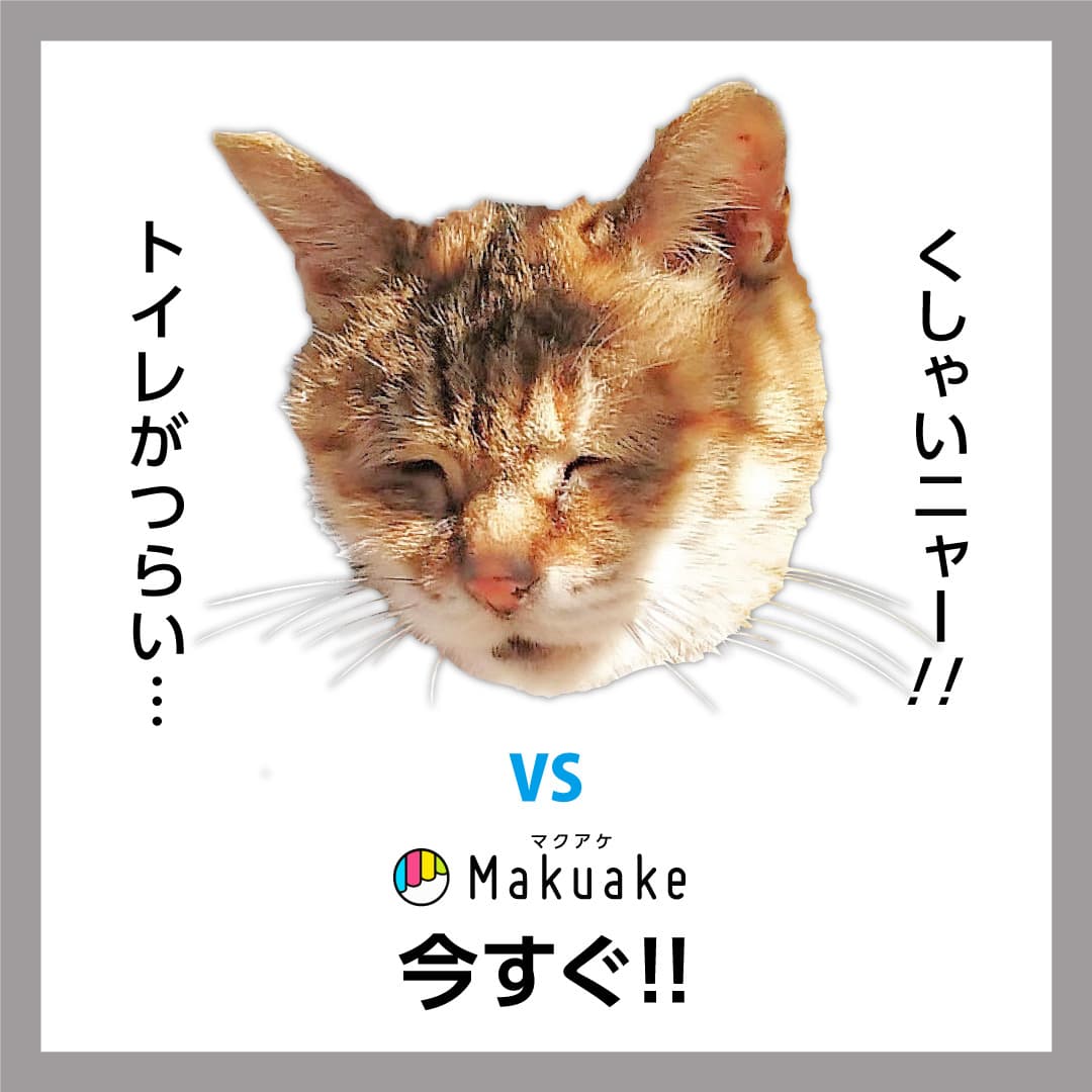 ウチの猫が「Makuake／マクアケ」で救われる！？