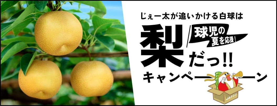 球児の夏を応援！ 産地直送通販サイト「ＪＡタウン」で 「じぇー太が追いかける白球は梨だっ！！キャンペーン」スタート ～キャンペーンの動画広告も配信～