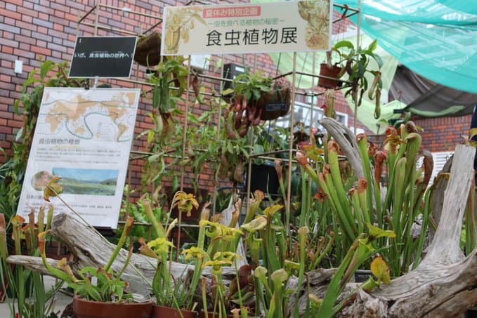 【神代植物公園】夏休み特別企画「食虫植物展」～覗いてみよう！食虫植物の不思議な世界～｜7月30日(火)～8月12日(月・祝)