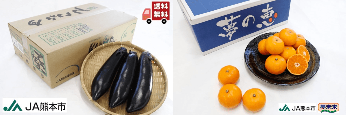 期間限定で、送料無料でお得にお買い物！ 早生みかん「夢の恵」と「肥後のでこなす」が産地直送通販サイト「ＪＡタウン」で 販売開始！