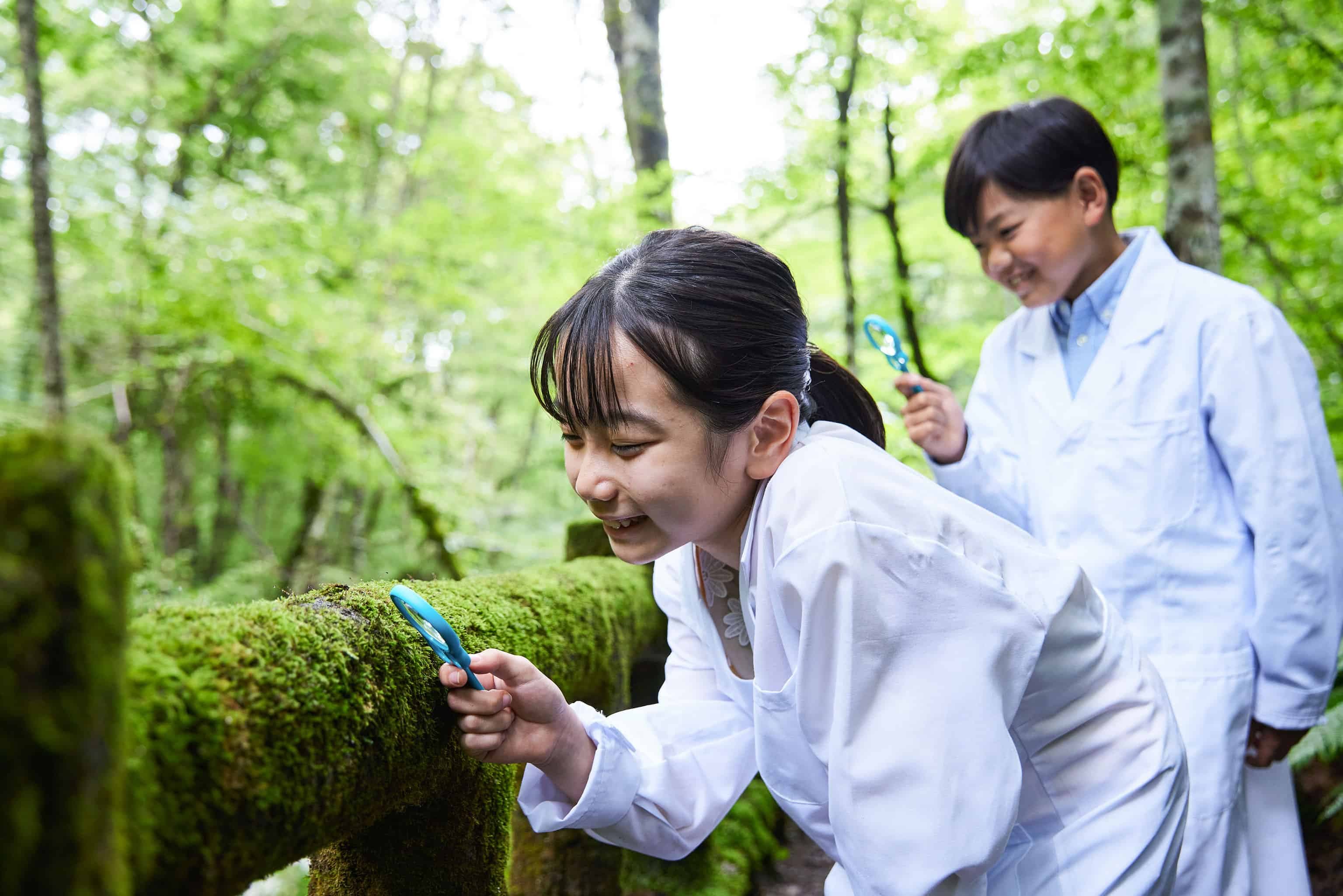 【奥入瀬渓流ホテル】国立公園で50種類の苔を探し出す自由研究プログラム「奥入瀬コケ博士」を実施 ～本物の苔に触れながら、オリジナルの「コケ博士レポート」を作成～｜提供期間：2023年7月20日～8月31日