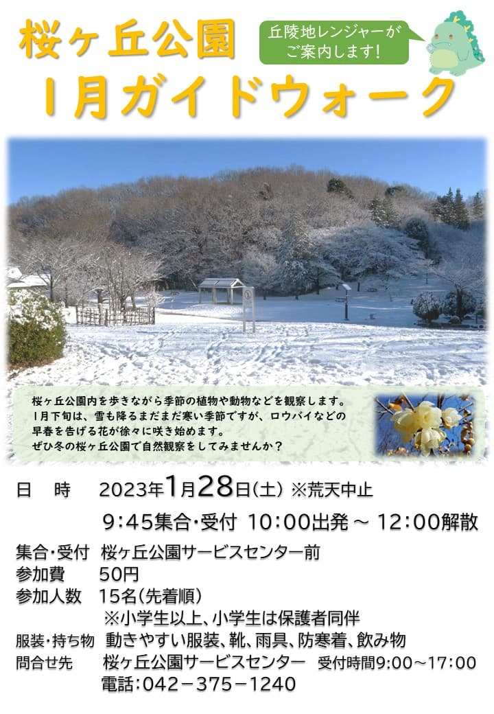 桜ヶ丘公園　１月ガイドウォーク　1月28日（土）開催！