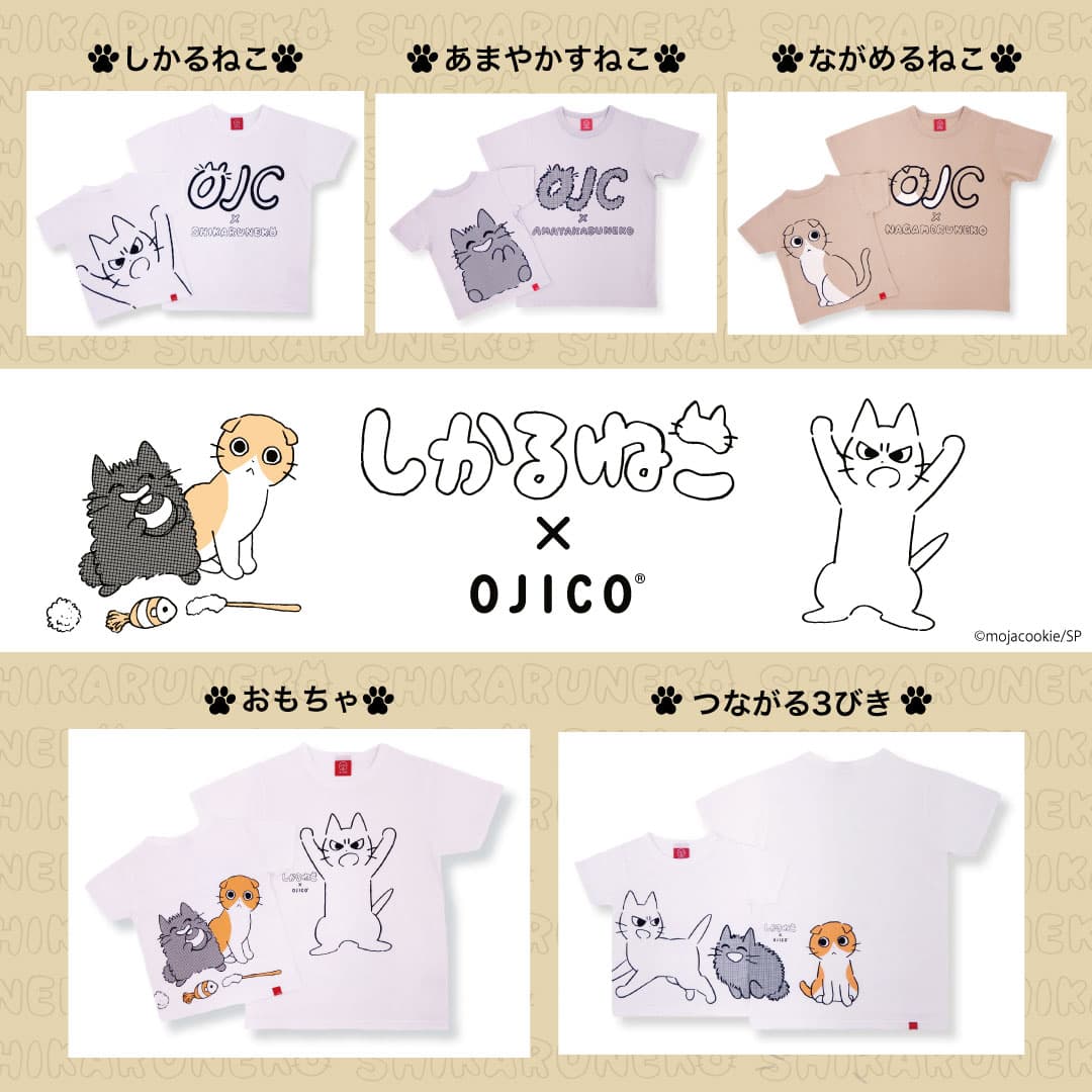 TV放送も開始！叱られてるのに癒される「しかるねこ」 「OJICO」から初のコラボレーションTシャツが登場！